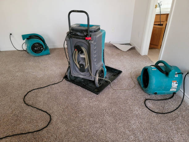Best Commercial water damage restoration  in South San Francisco, CA