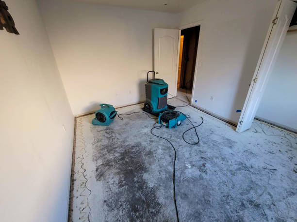 Best 24/7 water damage repair  in South San Francisco, CA