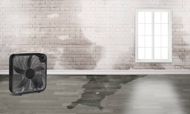 Best Emergency water damage restoration  in South San Francisco, CA