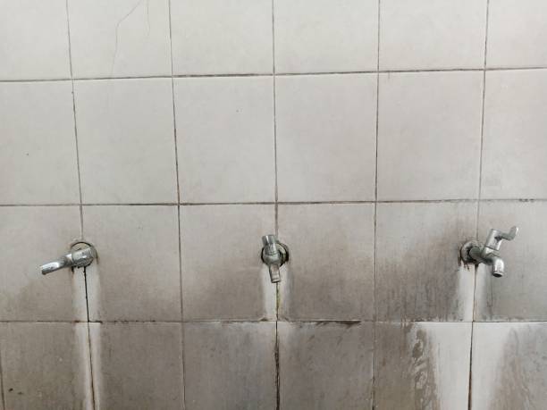 Best Fire Damage Restoration  in South San Francisco, CA
