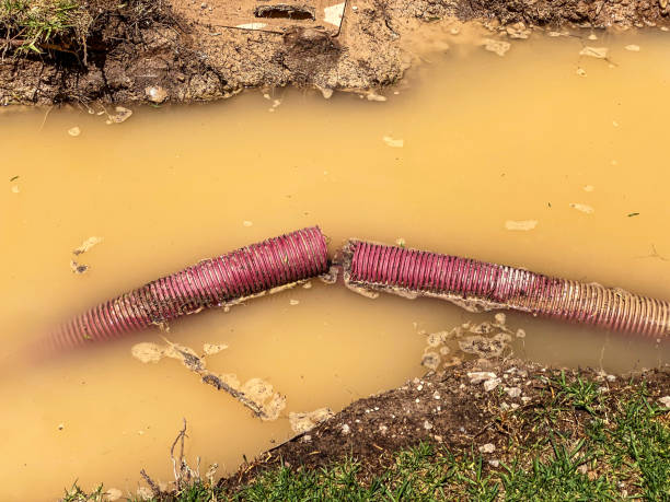 Best Basement water damage restoration  in South San Francisco, CA