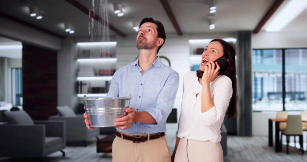 Best Water damage repair service  in South San Francisco, CA
