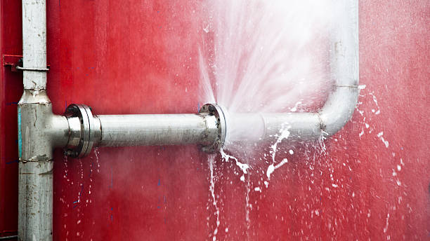 Best Water damage restoration near me  in South San Francisco, CA